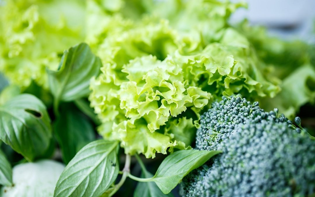Revolutionizing Produce Freshness: The Role of Pre-Cooling in the U.S. Post-Harvest Sector