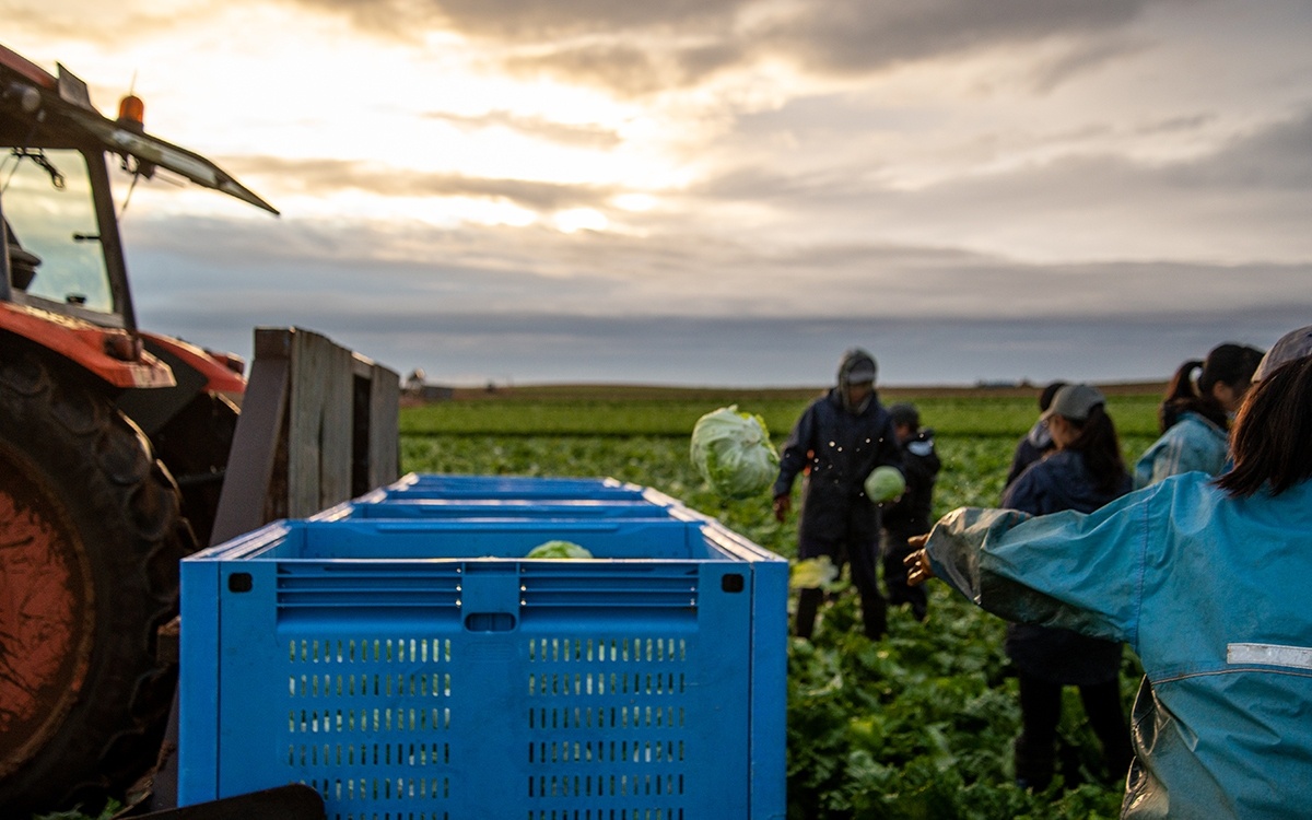 Cold Chain Innovation