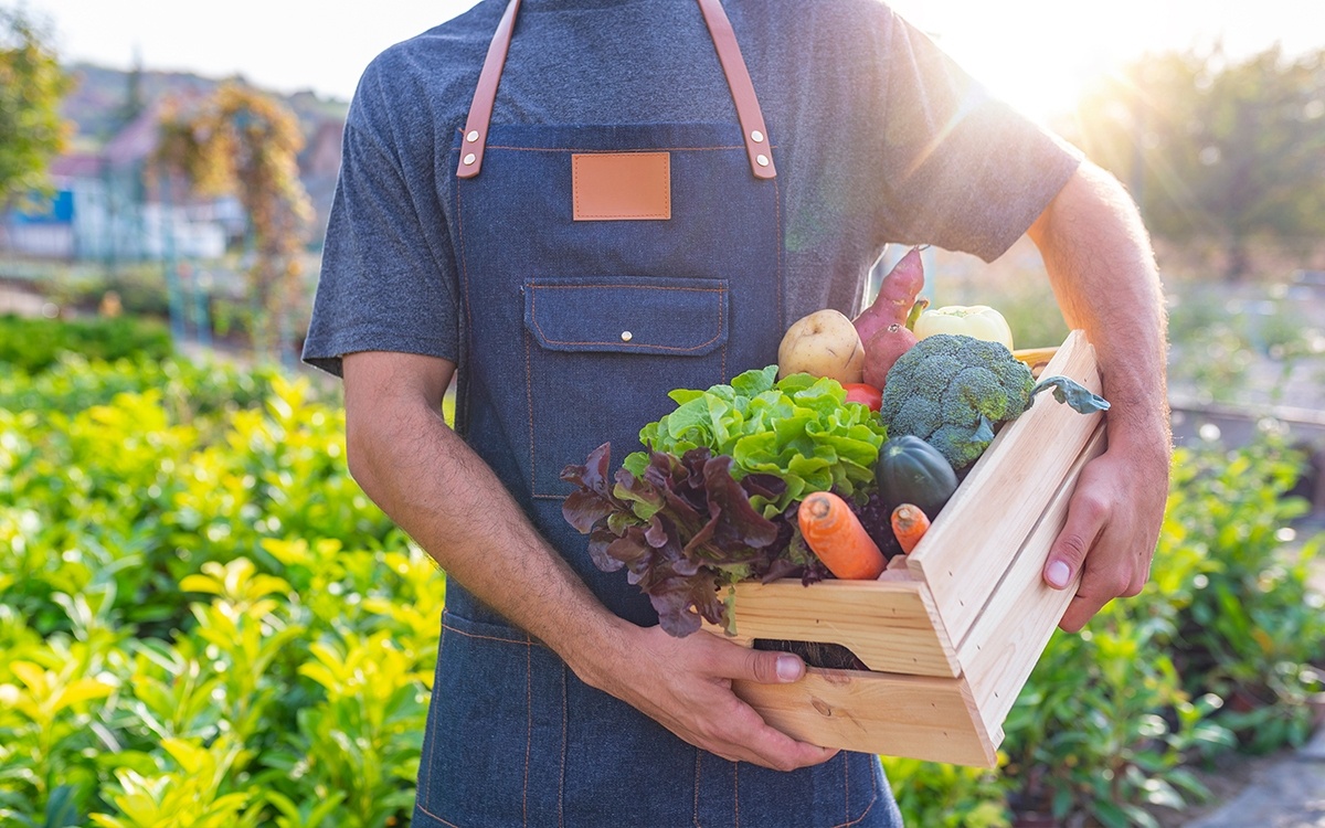 Fresh Produce Safety and Quality
