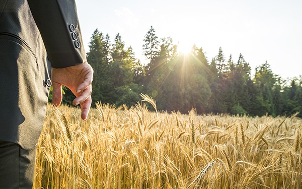 Every Hour After Harvest Matters: Why Pre-Cooling Is the Most Critical Step in the Food Supply Chain