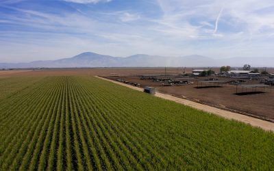 Why the Future of Fresh Produce Logistics Starts at the First Mile